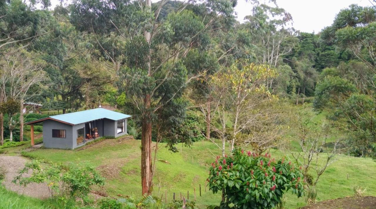 Olingo Monteverde Bagian luar foto