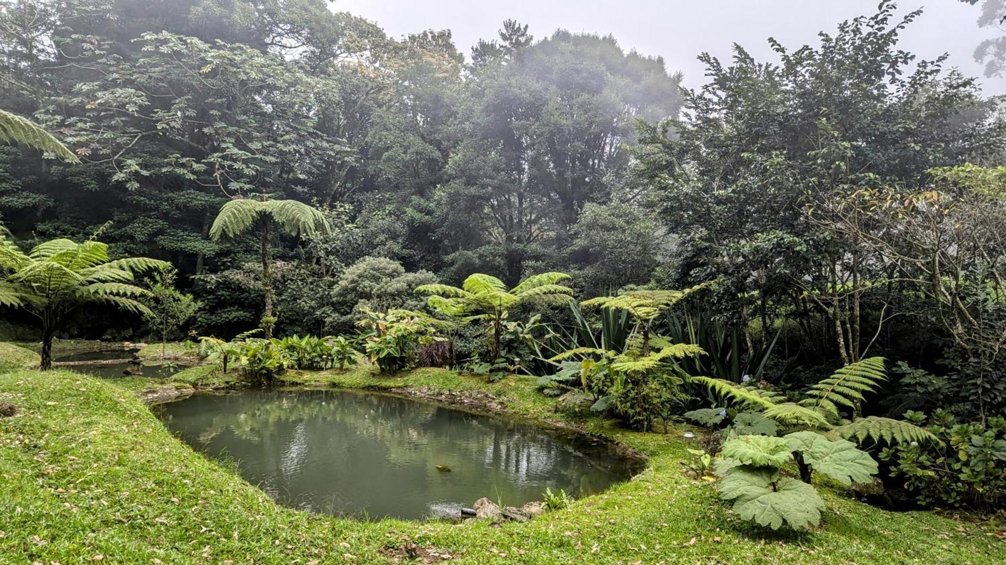 Olingo Monteverde Bagian luar foto